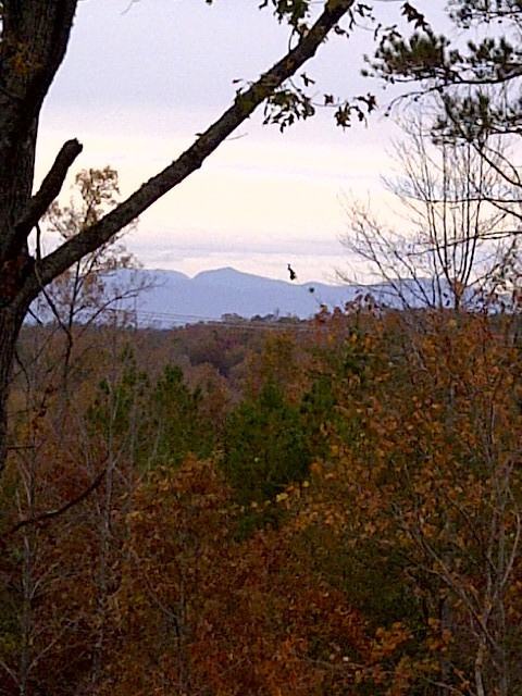 3644 Walhalla Hwy - Photo 3 of 39