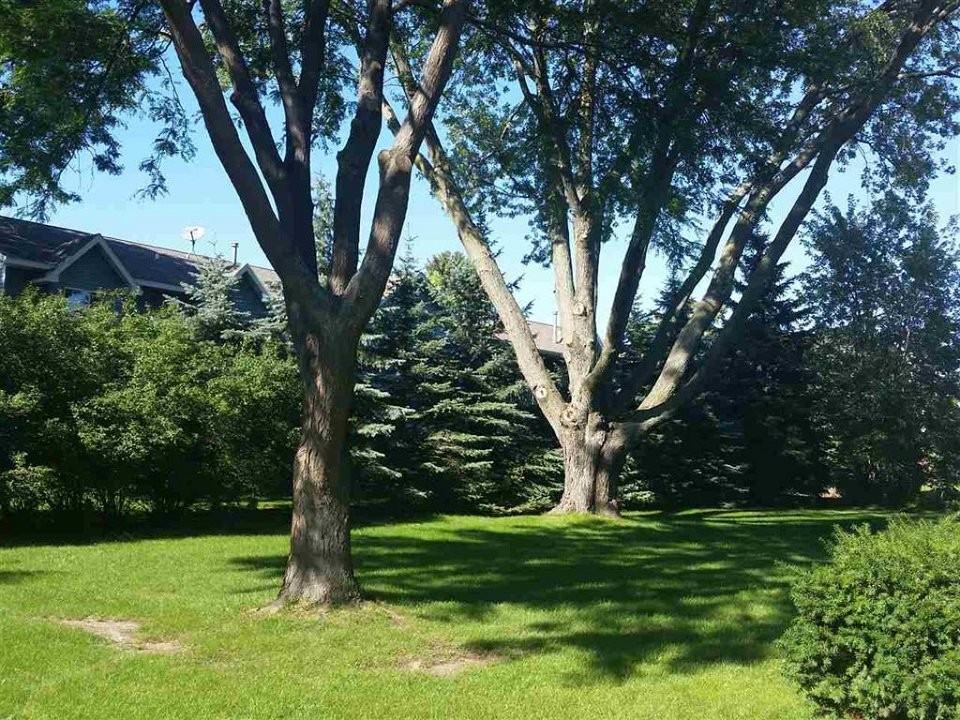 814 N Thompson Dr - Photo 4 of 7