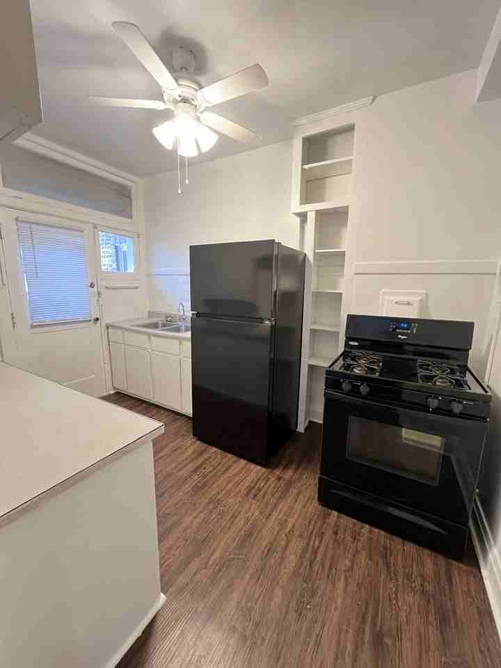 Elwood - Photo 4 of 9