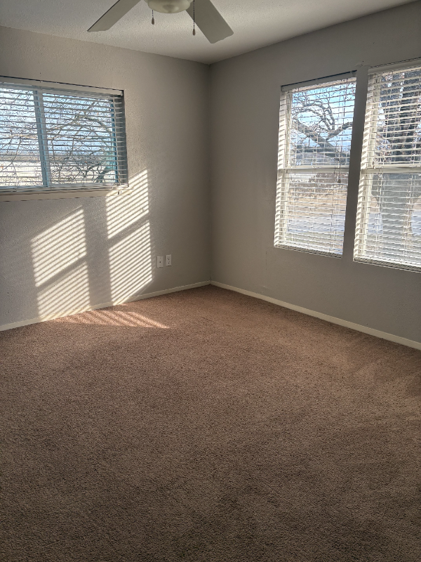 1106 N Sam Rayburn Fwy #1106 - Photo 7 of 11