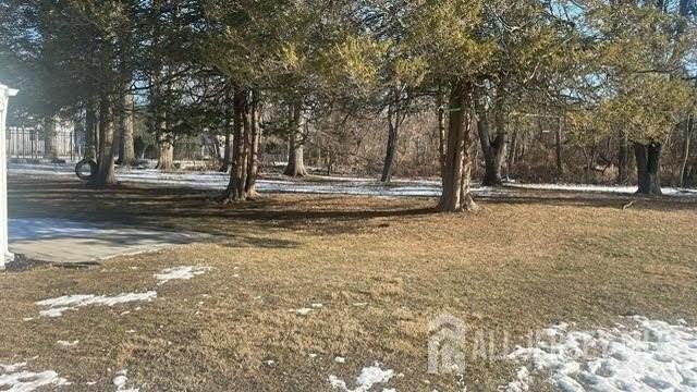 213 Schillaci Ln - Photo 4 of 4