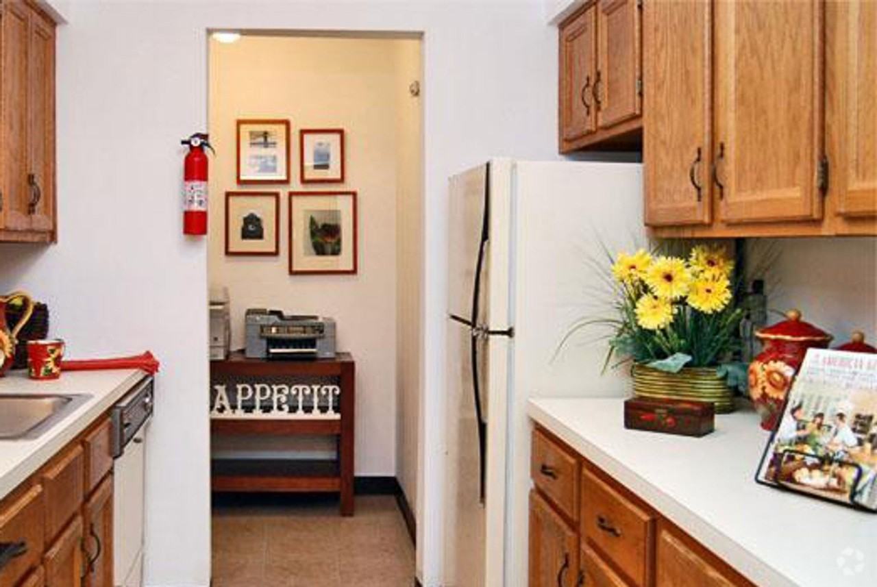 McGuire's Grove - Photo 4 of 8