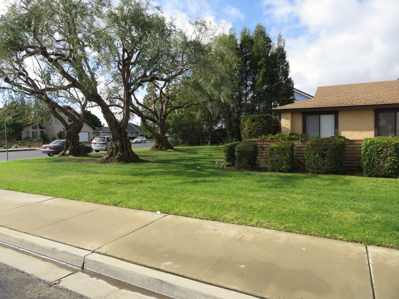 803 Niles Ct - Photo 2 of 31