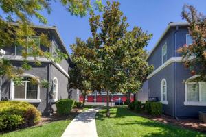 featured image of 3351 Duckhorn Dr