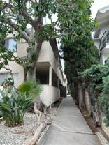 G11707 - Photo 1 of 1