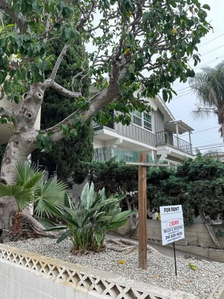 G11707 - Photo 2 of 2