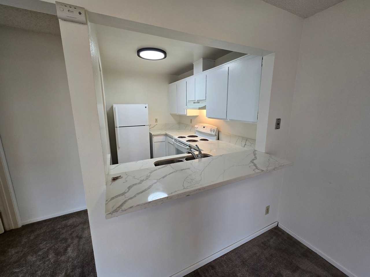3250 Ashford St #O - Photo 6 of 11