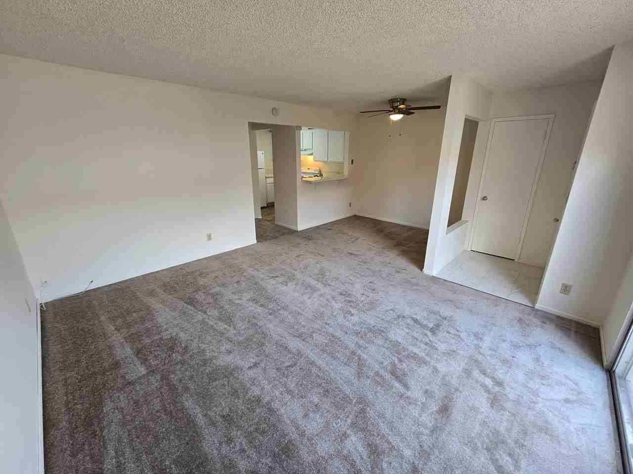 3250 Ashford St #O - Photo 7 of 11