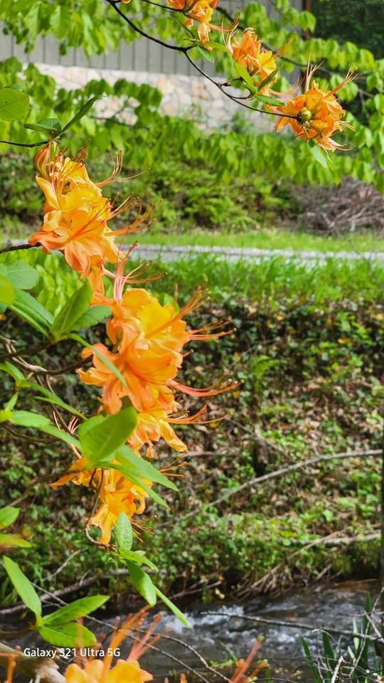 2294 Craig Gap Rd #A - Photo 2 of 20