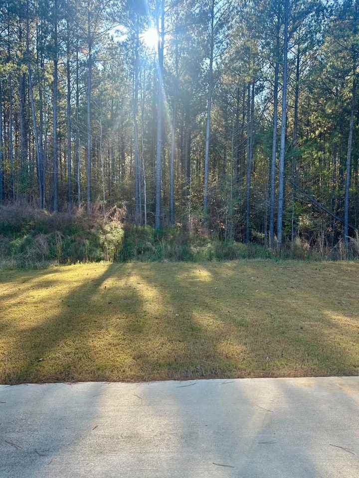 204 Chelsea Park Circle, Chelsea, AL 35043 - Photo 3 of 11