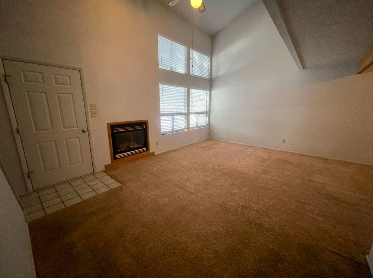 333 Dl Sargent Dr - Photo 3 of 18