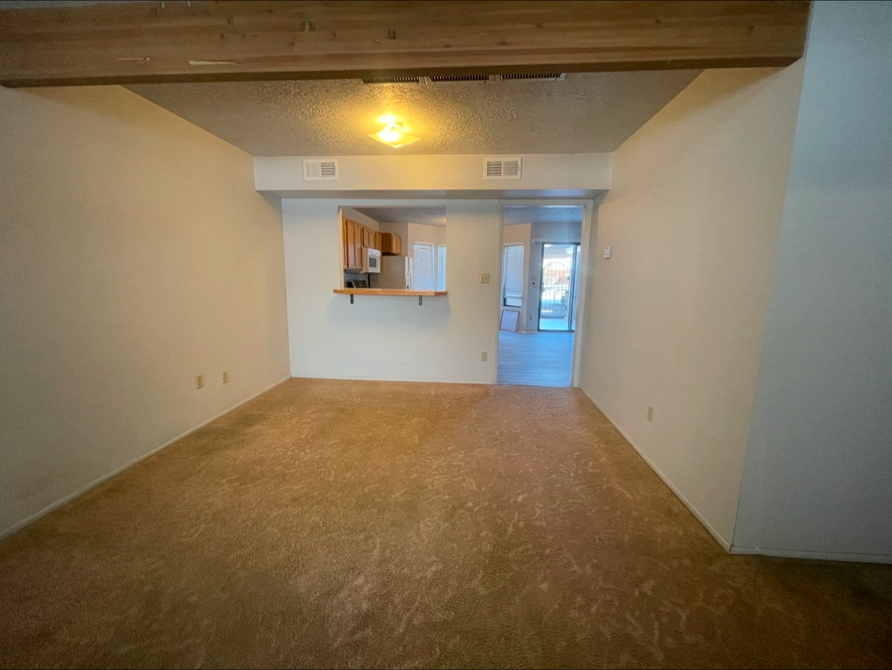 333 Dl Sargent Dr - Photo 4 of 18