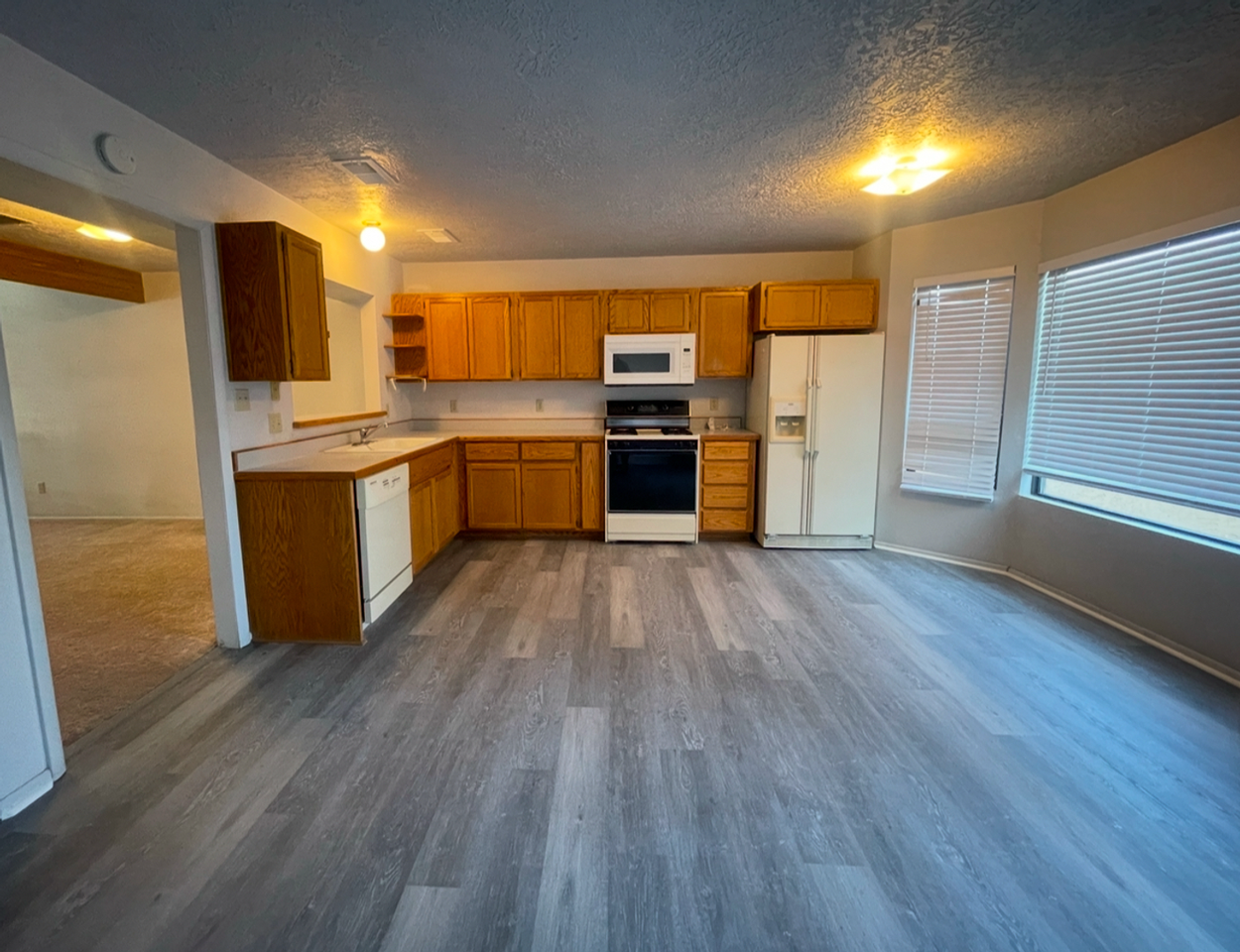 333 Dl Sargent Dr - Photo 5 of 18