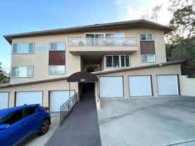 GRACIA - Photo 1 of 1