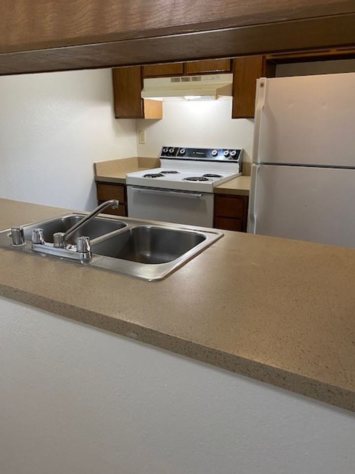 3900 El Potrero Ln #3 - Photo 5 of 11