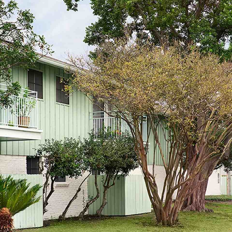 BIRCHLEAF - Photo 2 of 7