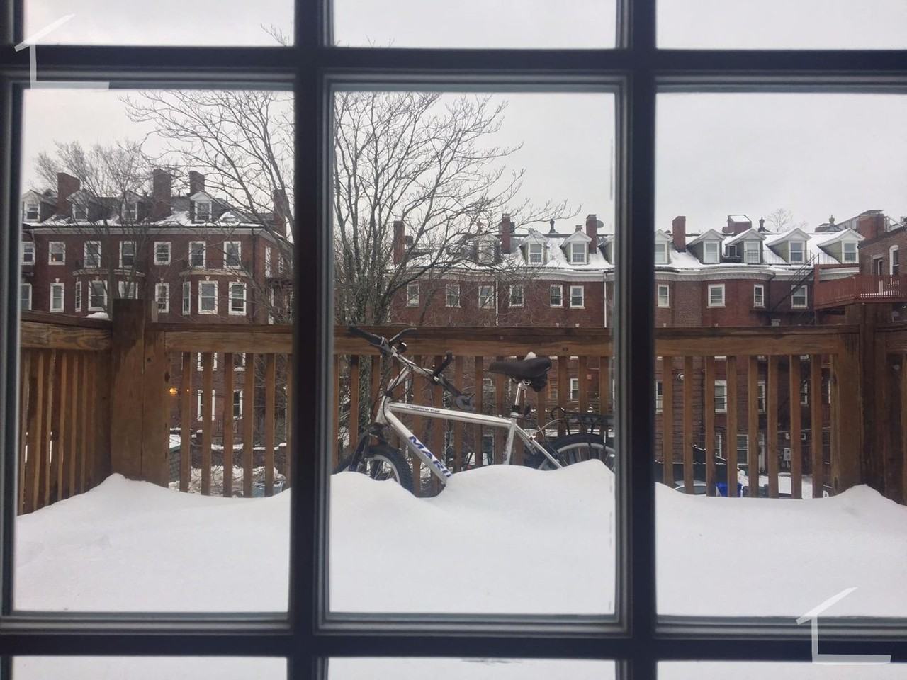 1683 Beacon St - Photo 6 of 17