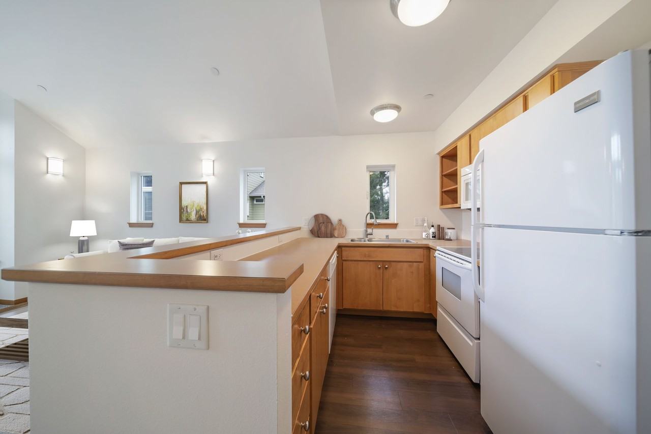 Camelia - Photo 7 of 9