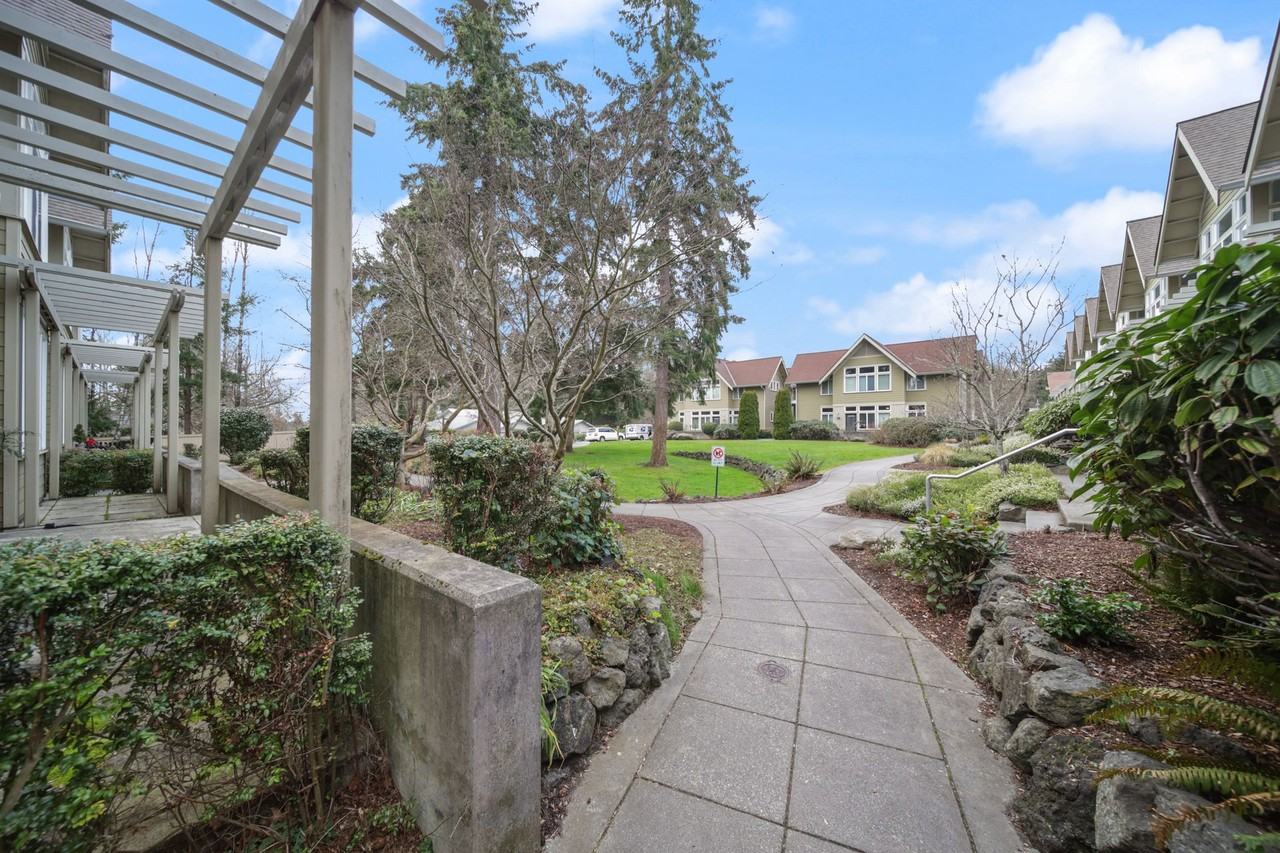 Camelia - Photo 6 of 10