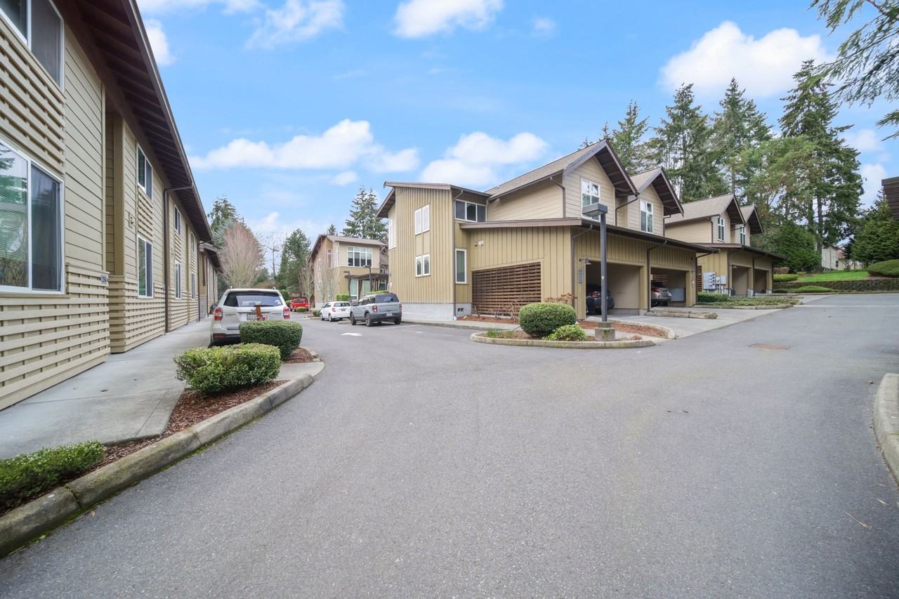 Camelia - Photo 4 of 10