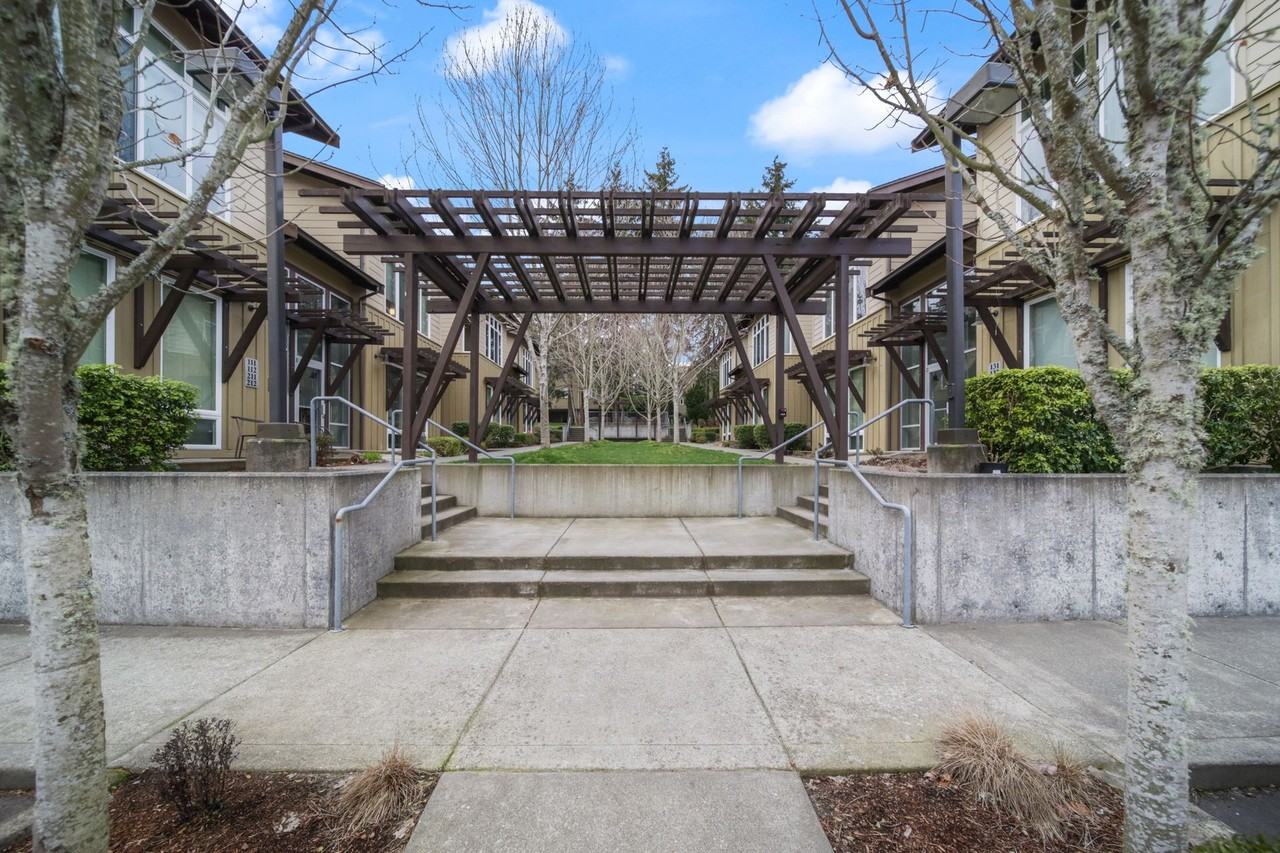 Camelia - Photo 3 of 10