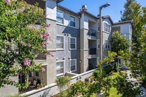 featured image of 1550 Central Ave