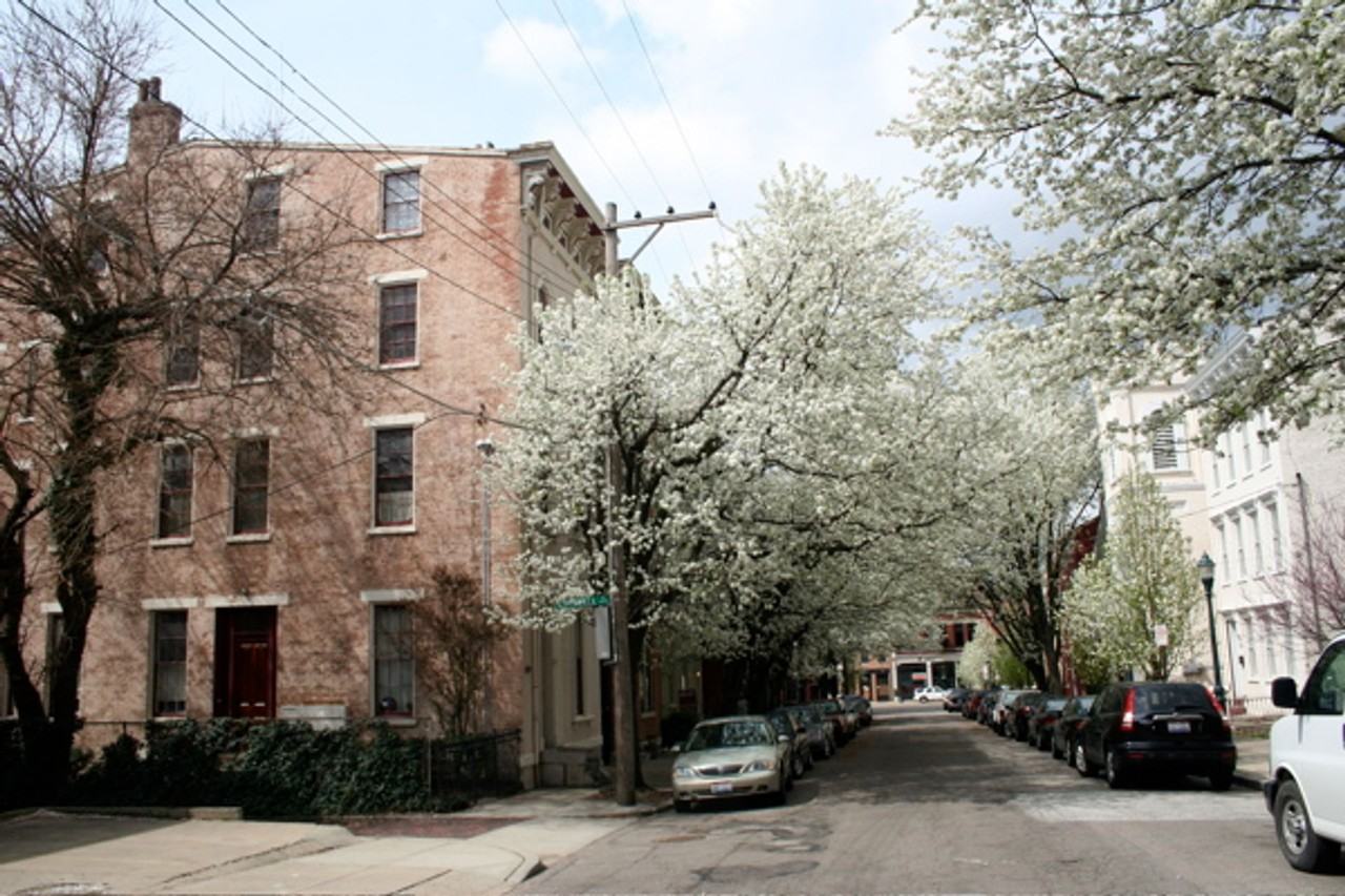 Orchard St - Photo 5 of 6