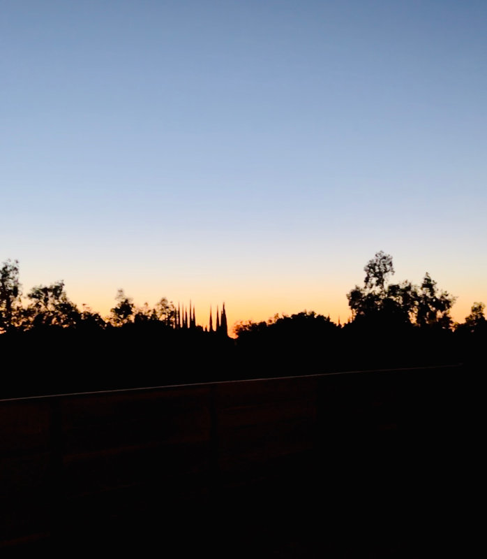 7047 Snedigar Rd - Photo 2 of 19