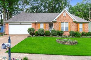 featured image of 4043 Gouverneur St