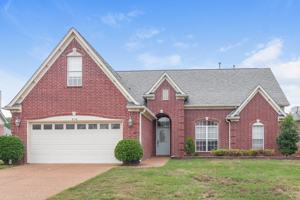 featured image of 8158 Short Grass Cv