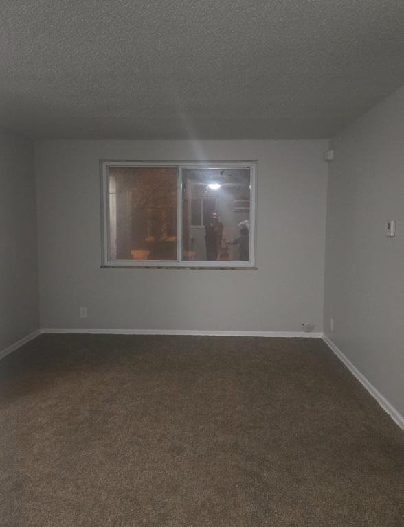 241 Martin Ave - Photo 5 of 5