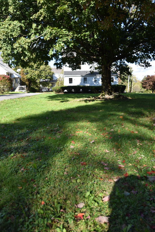 1176 Middletown Rd - Photo 2 of 10