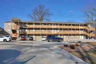 Olive 514 - Photo 1 of 1