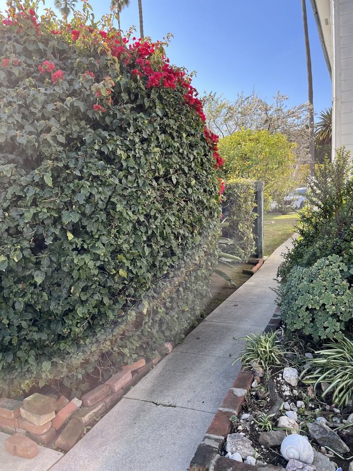 516 Brinkerhoff Ave #NA - Photo 3 of 8