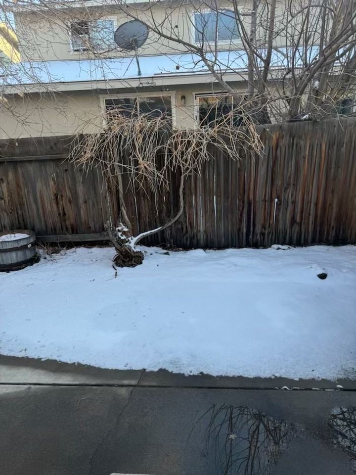 4245 Furgerson Ranch Rd - Photo 4 of 24