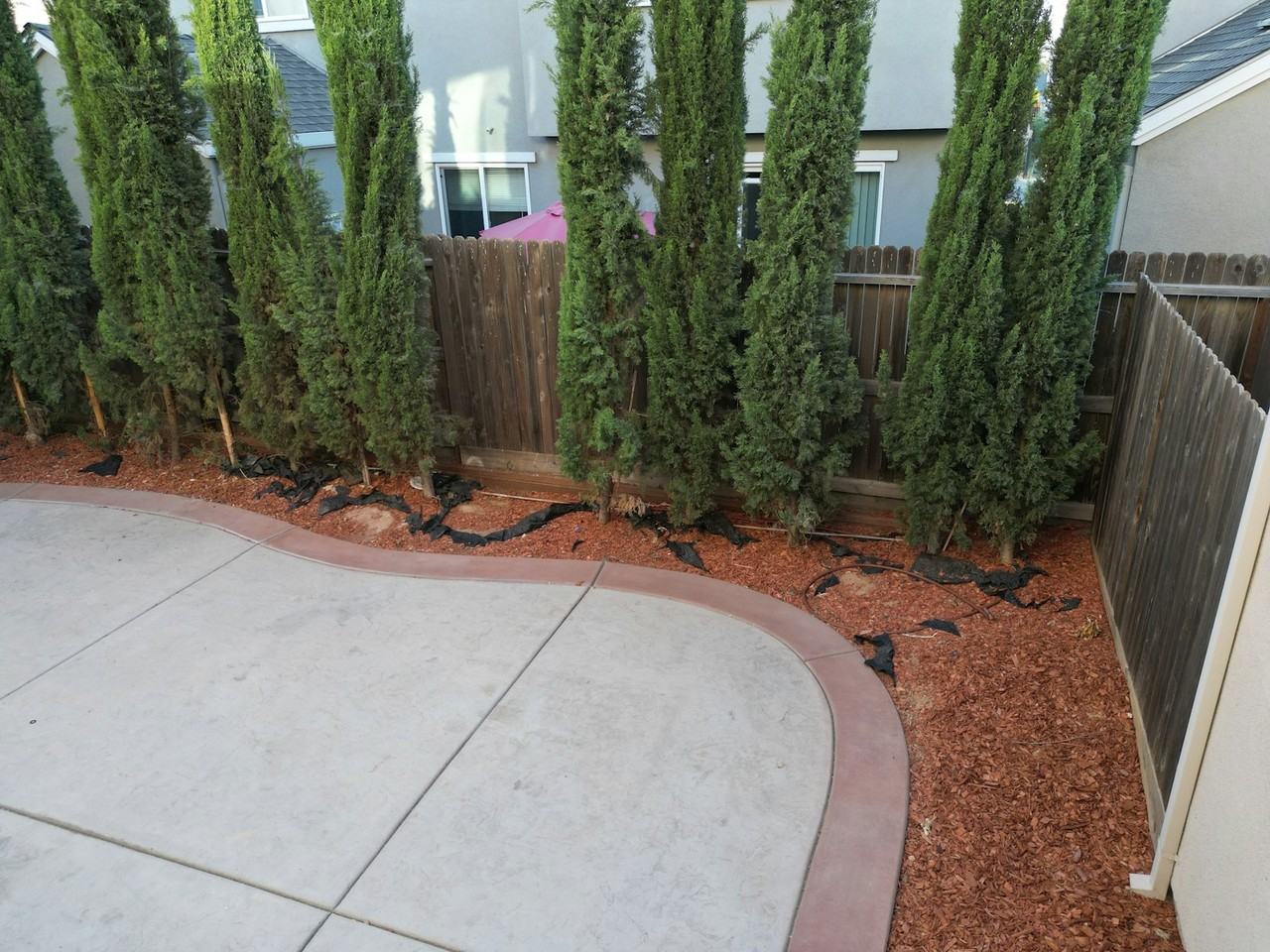 2421 Ben Ali Street - Photo 5 of 17