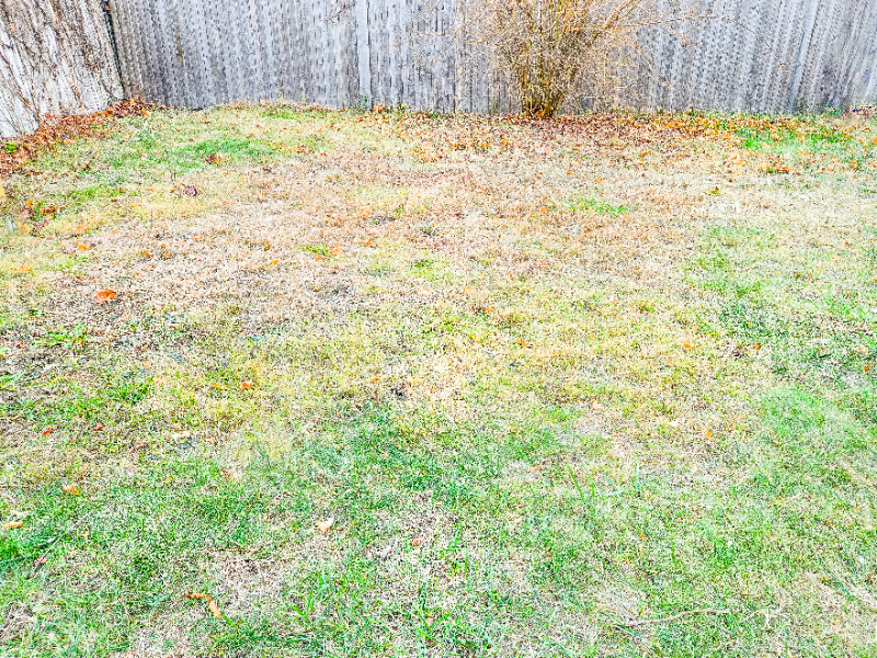 61 Tudor St #2 - Photo 2 of 20