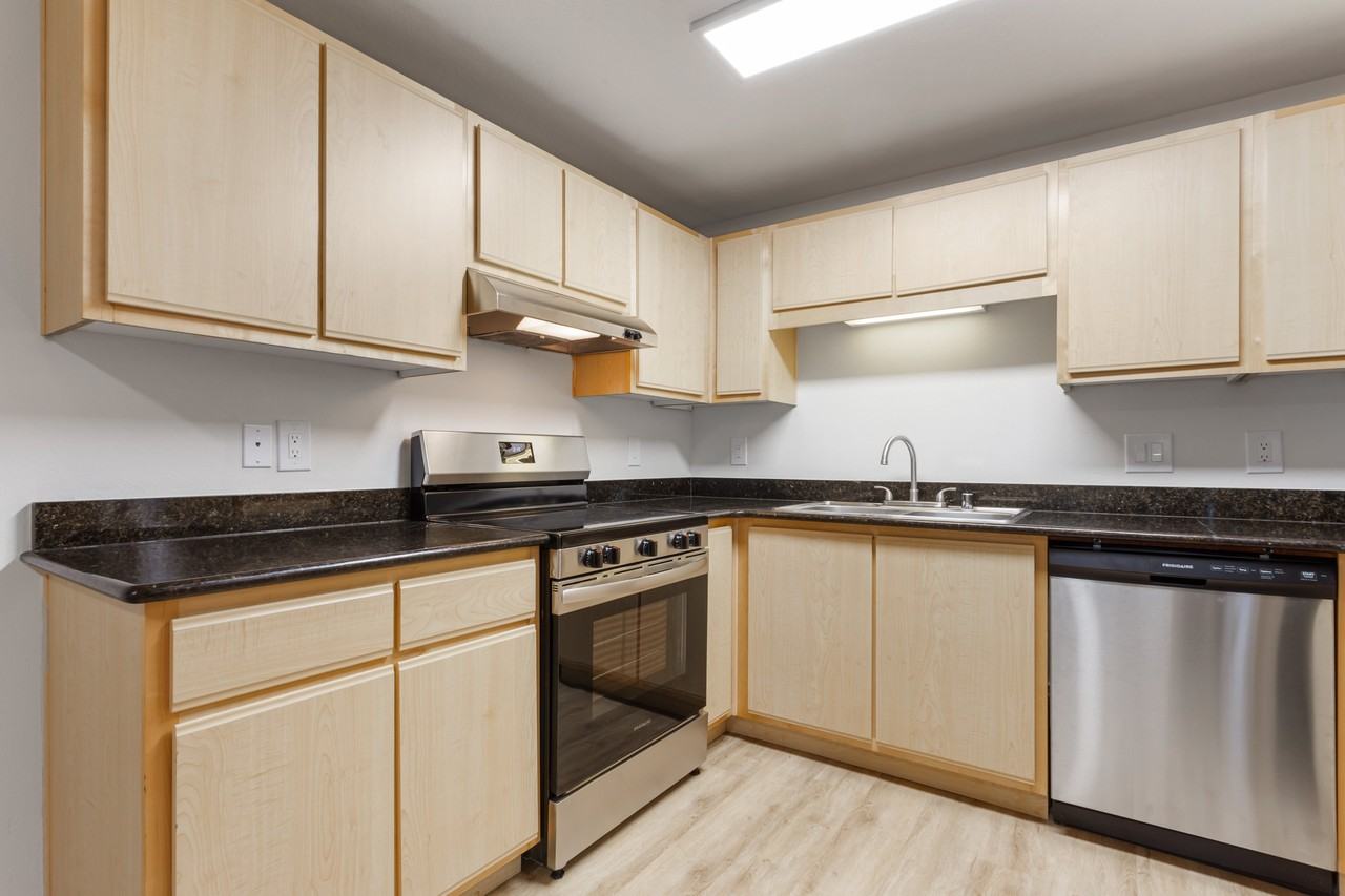 Reflections at the Park - Photo 3 of 25