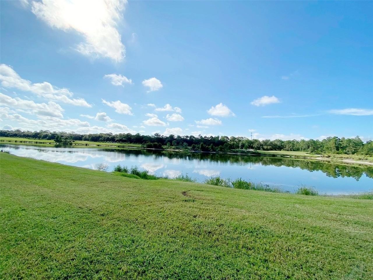 16706 Vardon Ter #102 - Photo 6 of 50