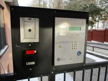 Piper - Photo 1 of 1