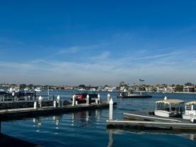 Balboa - Photo 1 of 1