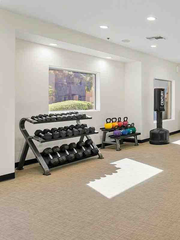 1333 W Guadalupe Rd - Photo 5 of 36