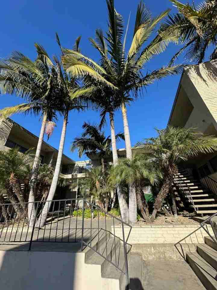 i11655 - Photo 2 of 6