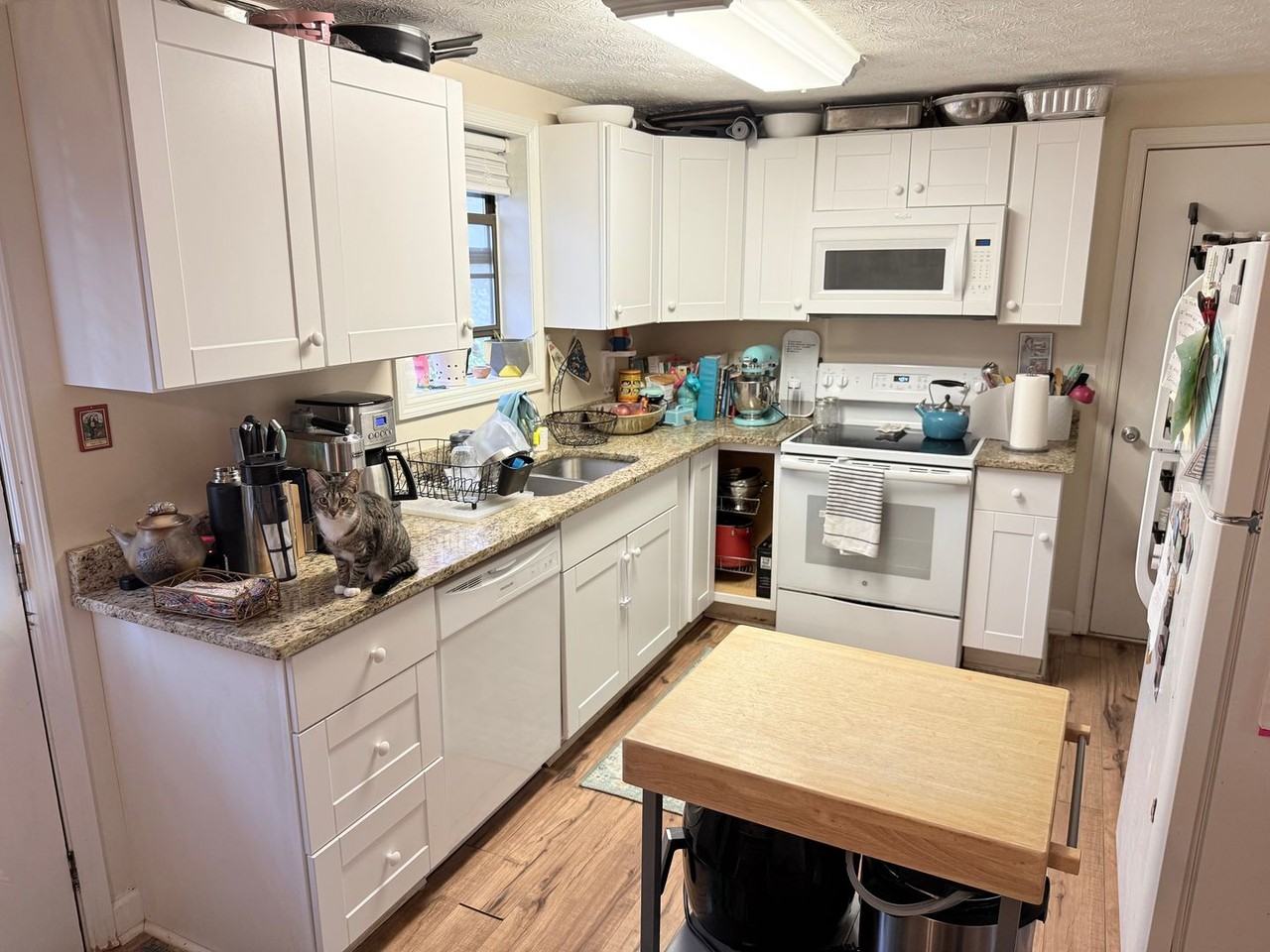 102 Tanyard Trl - Photo 3 of 20