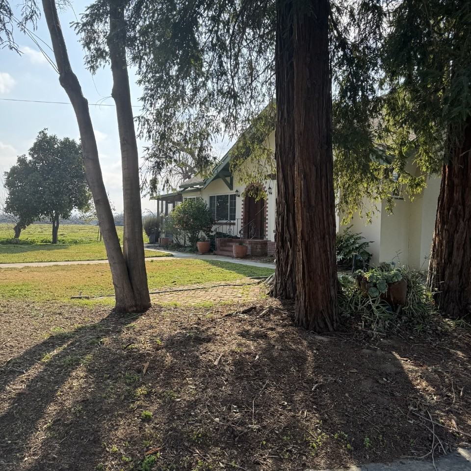 8855 Gaddini Rd - Photo 3 of 30