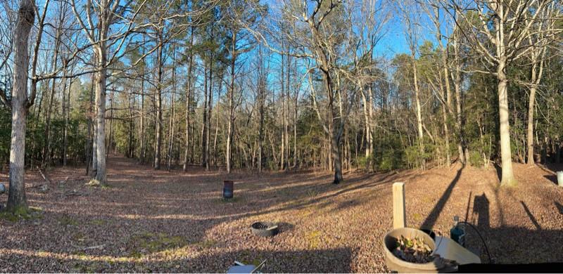 2285 Forest Hills Dr - Photo 2 of 10