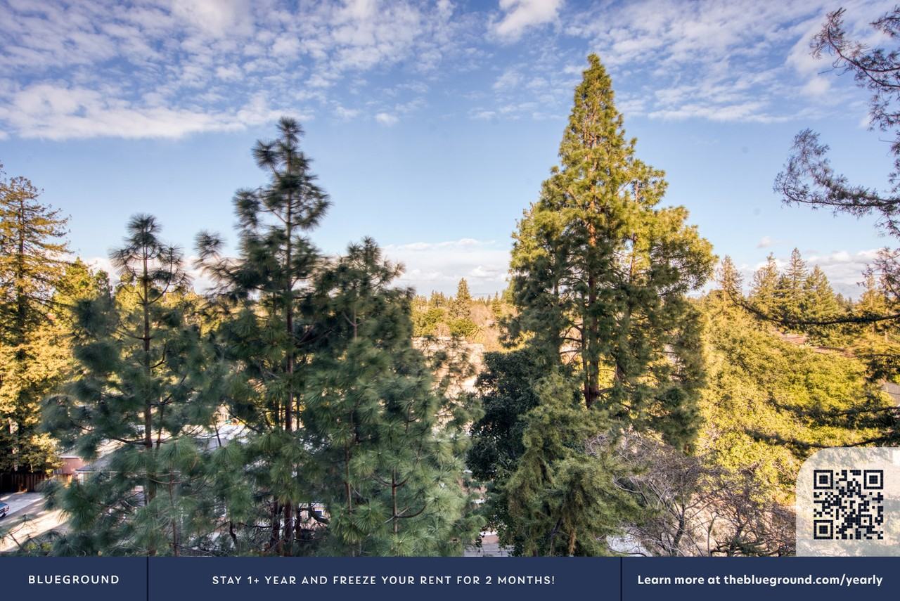 501 Forest Avenue - Photo 7 of 36
