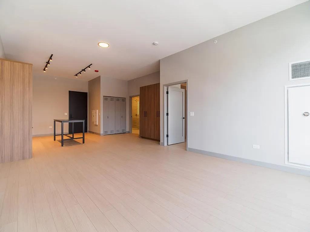 N Wells St #805 - Photo 6 of 21