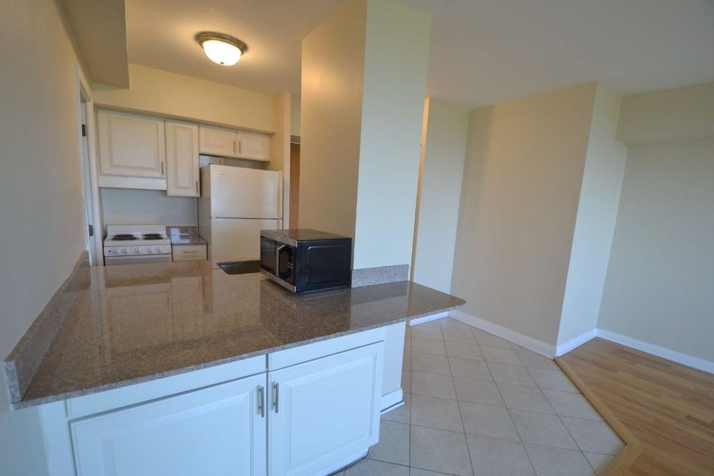 4180 N Marine Dr #1306 - Photo 3 of 14