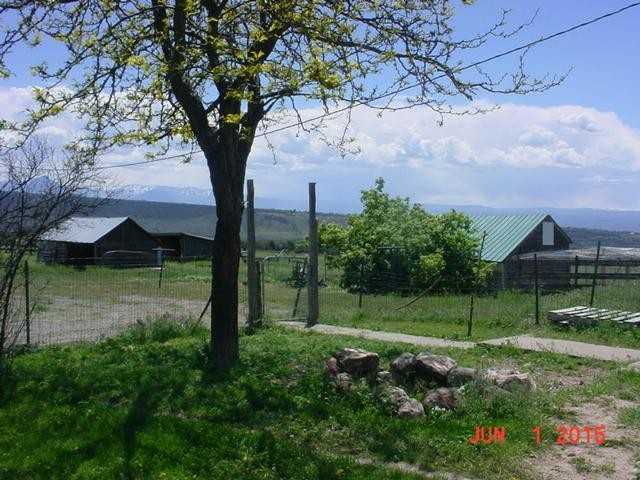 26206 Cactus Park Rd - Photo 3 of 13